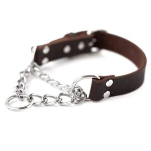 Mighty Paw Leather Training Collar, Martingale Collar, Stainless Steel Chain – Limited Chain Cinch Collar