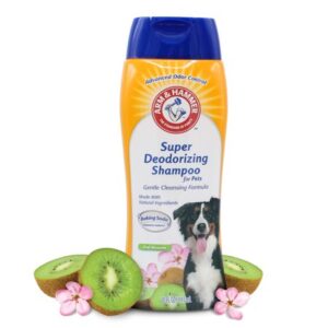 Arm & Hammer Super Deodorizing Shampoo