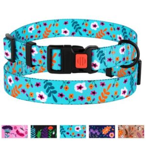 CollarDirect Floral Dog Collar Nylon Pet Collars for Dogs Small Medium Large Puppy, Aquamarine