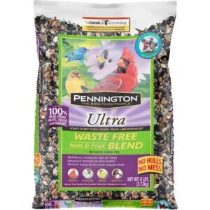 Pennington Nuts & Fruit Waste Free Bird Feed and Seed, 6 lb. Bag