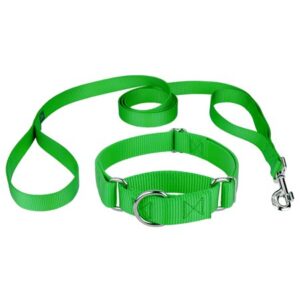 Country Brook Design® Martingale Heavyduty Nylon Dog Collar/Double Handle Leash