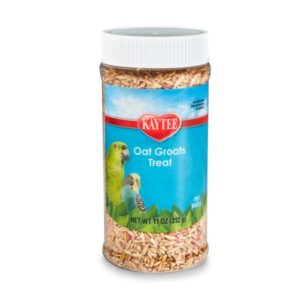 Kaytee Oat Groats Treat Jar– All Pet Birds 11 oz