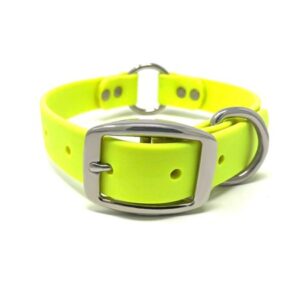 Regal Dog Products Waterproof Dog Collar with Heavy Duty Center Ring, Double Buckle and D Ring