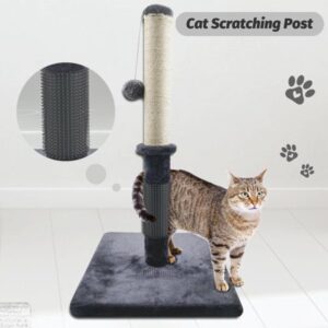 29″ Tall Cat Scratching Post Scratch Pole with PVC Grooming Brush and Hanging Ball Cat Claw Scratcher with 3mm Sisal Rope – 15.7″ Longer & Thicker Bottom Plate(Light Gray)