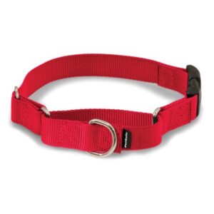 PetSafe Nylon All Occasion Prong Dog Collar, Red, L