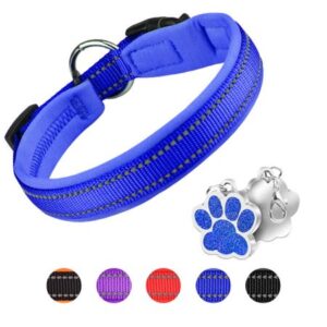 MASBRILL dog collar with Dog tag Reflective Soft Neoprene Padded Breathable and Adjustable, Odour Resistant and Fast Drying-Blue-XS