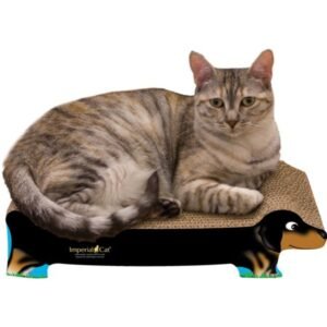 Imperial Cat Scratch ‘n Shapes Black Dachshund
