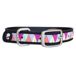 Dublin Dog by Outward Hound Carnival Dog Collar, X-Small/Small, Pink