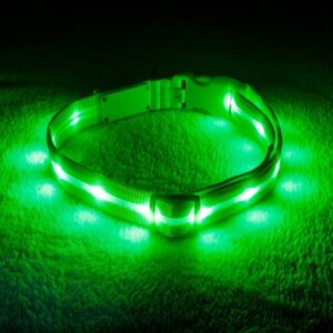 Blazin’ Safety Rechargeable Light Up LED Dog Collar (Small, Green)