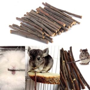 Walbest 20/40/60Pcs Organic Apple Sticks Wood Tree Branches Pet Snacks Chew Toys, Apple Branch for Guinea Pigs Chinchilla Squirrel Rabbits Hamster Small Animals