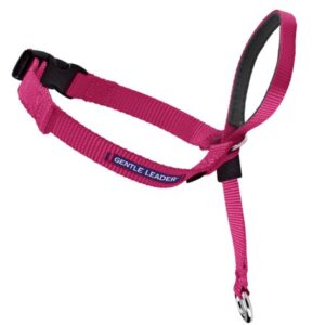 PetSafe Gentle Leader Headcollar, No-Pull Dog Collar, Small Up to 25 Lb., Raspberry