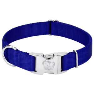 Country Brook Petz® Premium Nylon Dog Collar – Bright Royal Blue, Extra Large