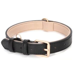 Whippy Leather Dog Collar, Soft Padded Dog Collar for Puppy Small Medium Large Dogs