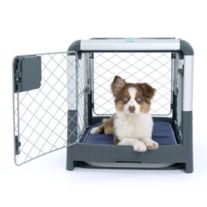 Diggs Revol Small Dog Crate – Portable Travel Dog Crate with Collapsible Kennel Walls