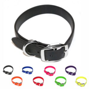 Regal Dog Products Waterproof Dog Collar with Double Buckle and D Ring