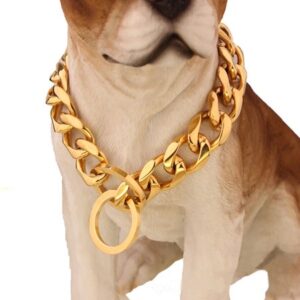 Gold Chain Dog Collar Pet Slip for American Pitbull French Bulldog Large Dogs