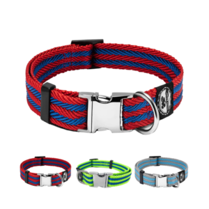 Regal Dog Products Dog Collar with Metal Buckle & D Ring – Fits Small, Medium, Large Dogs