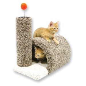 Beatrise Pet Products Kitty Barn Cat Scratcher Catnip Infused Play Tunnel, Brown