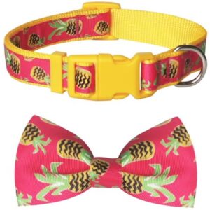 azuza Dog Collar with Bow Soft & Comfy Bowtie Dog Collar for Small Medium Large Dogs