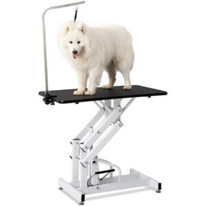 Anysun Hydraulic Dog Pet Grooming Table Heavy Duty Big Size Z-Lift Pet Grooming Table