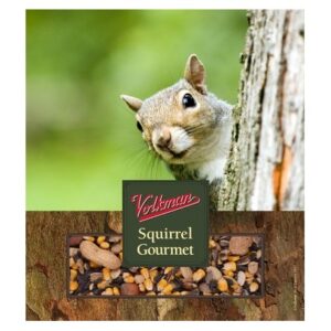 Volkman Seed Small Animal Squirrel Gourmet Mix Healthy Formulated Diet Food 4lbs