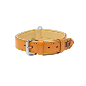 Riparo Genuine Leather Padded Dog Heavy Duty K-9 Adjustable Pet Collar for Medium, Large and Extra Large Dogs