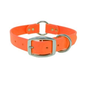 Regal Dog Products Waterproof Dog Collar with Heavy Duty Center Ring, Double Buckle and D Ring