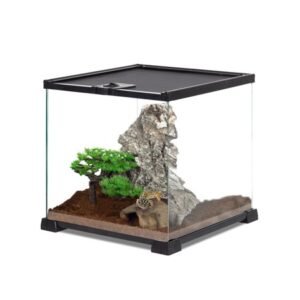 REPTI-ZOO Glass Mini 8 Gallon Reptile Terrarium 12″ x 12″ x 12″, Top Screen Ventilation & Feeding