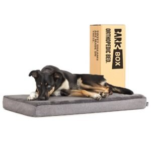 BARK Memory Foam Platform Dog Bed – Medium