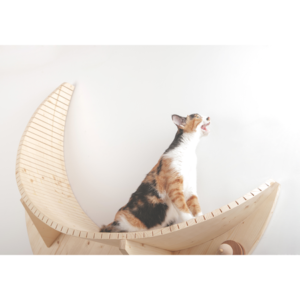 Luna Crescent Moon Shape Wall Mounted Cat Bed