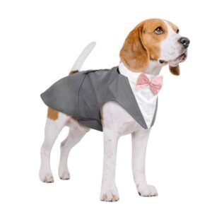 Kuoser Dog Tuxedo Dog Suit and Bandana Set, Dogs Tuxedo Wedding Party Suit, Dog Prince Wedding Bow Tie Shirt Formal Dog Weeding Attire for Large and Medium Dogs Golden Retriever Samo Bulldogs