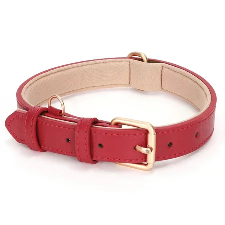 Whippy Leather Dog Collar, Soft Padded Dog Collar for Puppy Small Medium Large Dogs