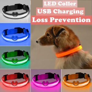 Light Up Collar, USB Rechargeable LED Dog Collar for Safety at Night, Bright Lighted Collar for Small Medium Large Dogs