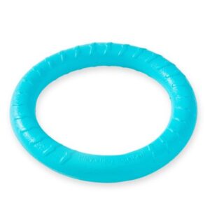 Dido Bite Training Ring Outdoor Indoor Animals EVA Flying Toys Teether Large Small Pets Poolside Entertainment Trainer Household Blue