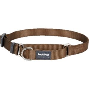 Red Dingo MC-ZZ-BR-SM Martingale Dog Collar Classic Brown, Small