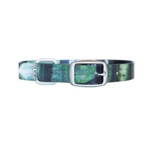 Dublin Dog by Outward Hound KOA Dog Collar, Green, Medium