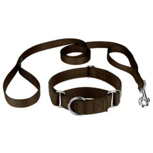 Country Brook Design® Martingale Heavyduty Nylon Dog Collar and Double Handle Leash, Extra Large