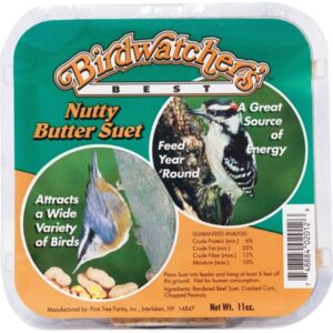 Pine Tree Farms Inc-Birdwatcher’s Best Suet- Nutty Butter 11 Ounce (Case of 12 )