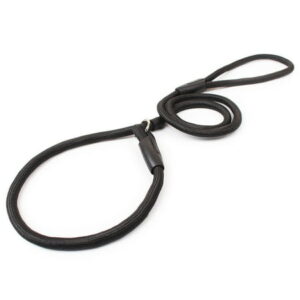 Black Dog Nylon Adjustable Loop Slip Rope Leash Lead Training Choke Collar 4ft