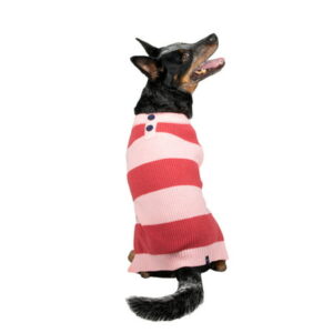 Gap Pet, Dog Clothes, Pink Striped Henley Pet Sweater