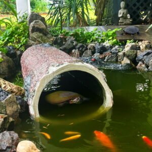 Hollow Log Hideaway ? Extra Large Realistic Tree Stump Hideout for Reptiles, Ponds and Wildlife.