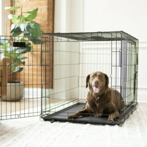 Vibrant Life Double-Door Foldable Metal Wire Dog Crate with Divider, X-Large, 42″