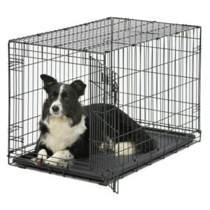 MidWest Homes for Pets Single Door iCrate Metal Dog Crate, 36″