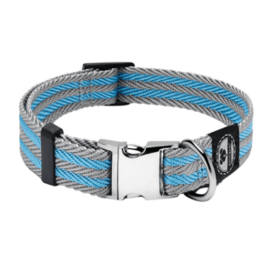 Regal Dog Products Dog Collar with Metal Buckle & D Ring – Fits Small, Medium, Large Dogs