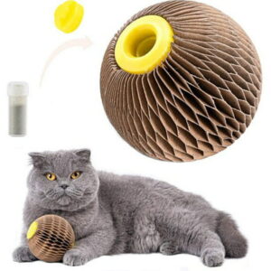 Carkira Cat Toy Claw Ball Refillable Catnip Corrugated Ball Type Funny Cat Toy