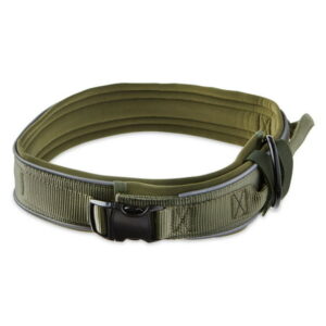 Vibrant Life Nylon Olive Green Tactical Adjustable Dog Collar, XL