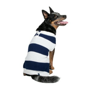 Gap Pet, Dog Clothes, Blue Striped Henley Pet Sweater