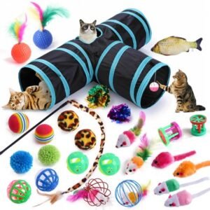 Coloody 27PCS Cat Toys Kitten Toys,Interactive Catnip Toys
