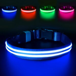 PcEoTllar Flashing LED Dog Collar – Rechargeable Light up Dog Collar USB Safety for Night Walking, Waterproof (Blue, Large)