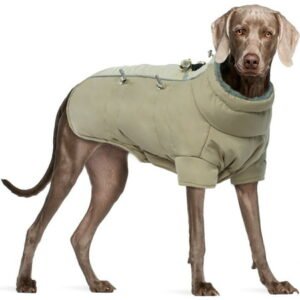 QBLEEV Dog Coat Windproof Cozy Dog Cold Weather Apparel Fleece Lined Winter Warm Dog Jacket Dog Vest for Small Medium and Large Dogs，Reflective Dog Clothes with Leash Hole